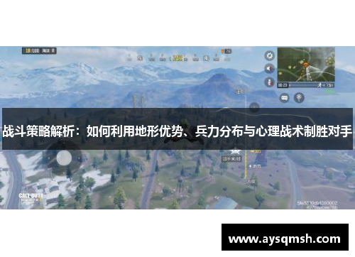 战斗策略解析：如何利用地形优势、兵力分布与心理战术制胜对手