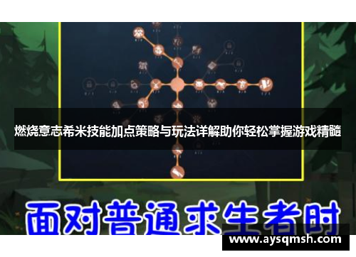 燃烧意志希米技能加点策略与玩法详解助你轻松掌握游戏精髓