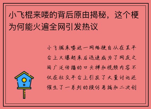 小飞棍来喽的背后原由揭秘，这个梗为何能火遍全网引发热议